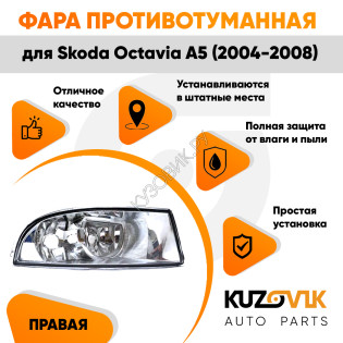 Фара противотуманная правая Skoda Octavia A5 (2004-2008) KUZOVIK