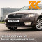 4L - TOPAZ BROWN - Коричневый 